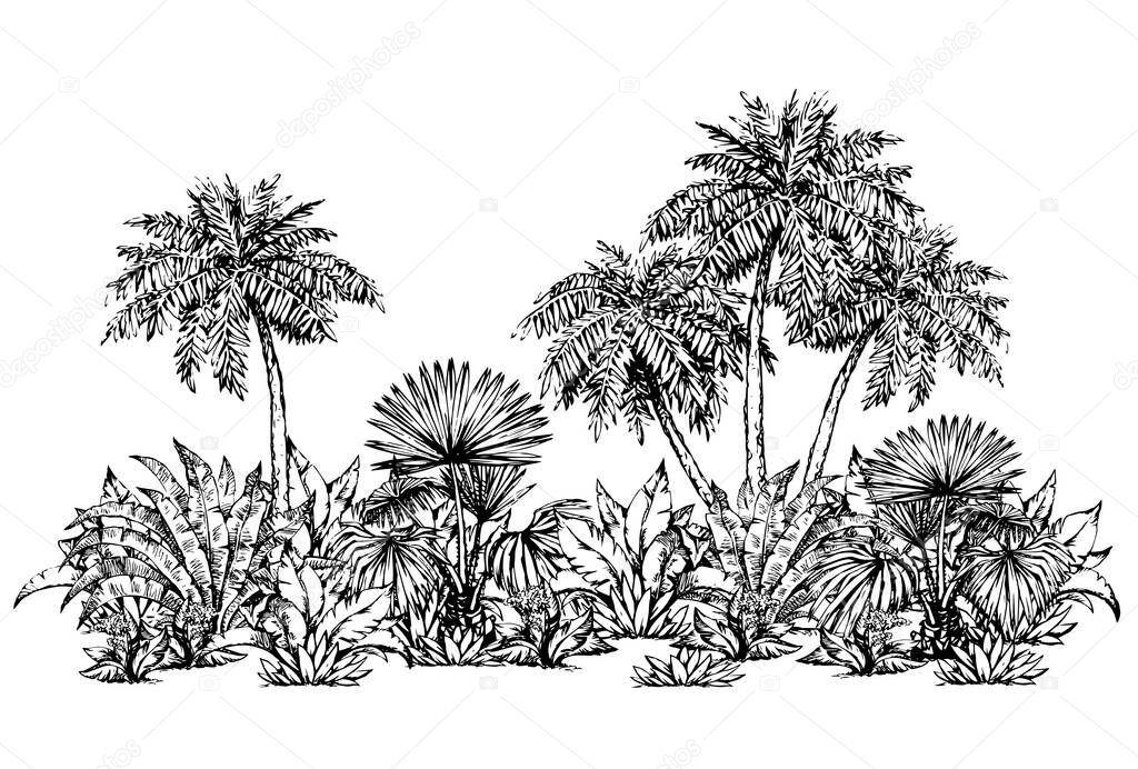 Summertime hot sunny Hawaii beach scenic view. White sky text space backdrop. Black hand drawn lush shrub twig grow scene sketch pattern design symbol. Vintage art doodle graphic vector style scenery