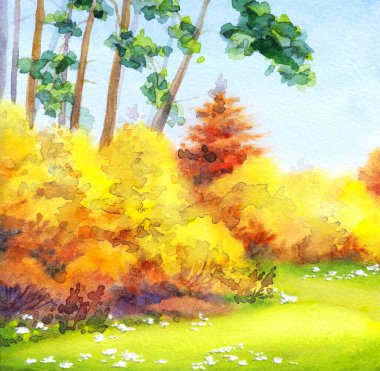 Elle çizilmiş eski yeşil bahçe koruluğu çayırlık patika yol boyunca yol boyunca kağıt metin alanı. Parlak neşe güneşli, güneşli bahar günü eskiz stili kırsal seyahat uzun sedir ladini köknar ağacı manzaralı.