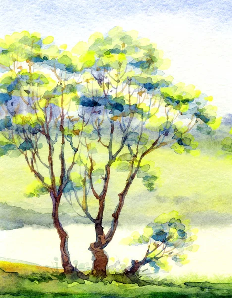 Parlak el çizimi suluboya ressamı temiz hava batımı sahnesi çiziyor. Kağıt arkaplan metin alanı. Açık yeşil renkli boya sanat eseri çalılık vadi çimenliği sakin bir günde dere kıyısı manzarası