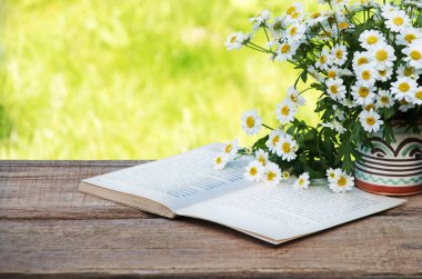 Eski çağlardan kalma kırsal sanat eseri, ot, güneş ışığı, bar tezgahındaki tezgah, metin kopyalama alanı. Neşeli aşk rahatla parlak çiçek tomurcukları dekoru eko günü kartı manzaralı pankartı kapat