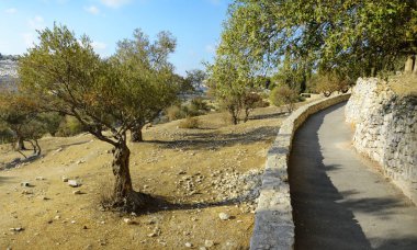 Yerushalayim, Gethsemane, Orta Doğu, 2017 olabilir. Yahudiye eski kutsal başkenti. Mavi gökyüzü zemin üzerinde Arkaik panoramik görünümü metin için yer ile. Ünlü Yahudi kutsal topraklara yerleştirmek Musevi Kral David, Solomon