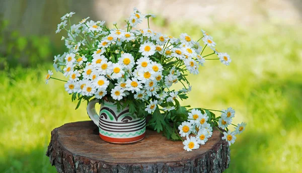 Old Retro Rural Stump Desk Board Weed Art Sun Scene — Stock Photo, Image