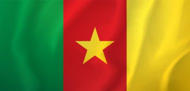 Flag of Cameroon. Vector drawing icon