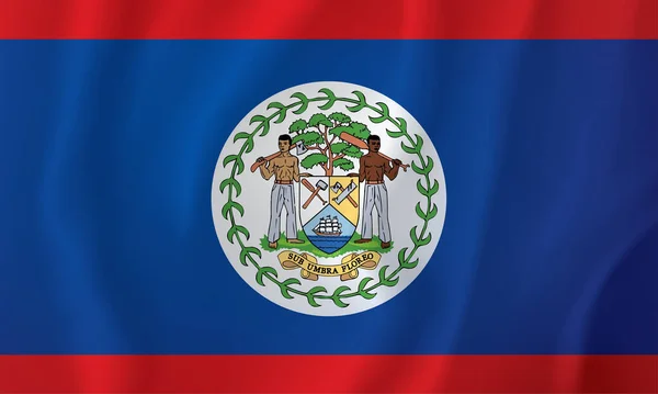 Flag Belize Vector Drawing Sign — Vetor de Stock