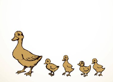 Yakından bakınca sevimli nehir gölü annesi Branta cygnus gaggle Cub row 'u koruyor beyaz metin alanı ayarlıyor. Siyah el çizilmiş genç pofuduk drake fauna go zoo road logosu antika köy çizgisi sanat tarzı