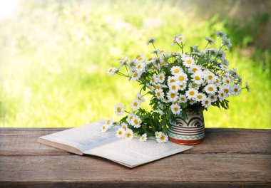 Eski çağlardan kalma kırsal sanat eseri, ot, güneş ışığı, bar tezgahındaki tezgah, metin kopyalama alanı. Neşeli aşk rahatla parlak çiçek tomurcukları dekoru eko günü kartı manzaralı pankartı kapat