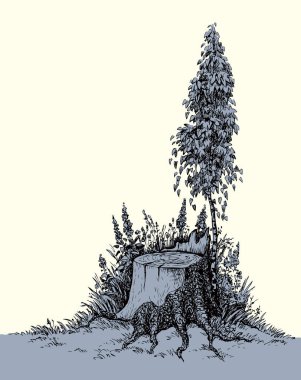 Ana hatları siyah mürekkep çizilmiş büyük yaş çatalı meşe ağacı kütüğü logosu logo simgesi amblem tasarım retro çizim çizim çizgi film tarzı. Çam yenilenmesini kapat çimen görünümlü beyaz metin arkaplanı