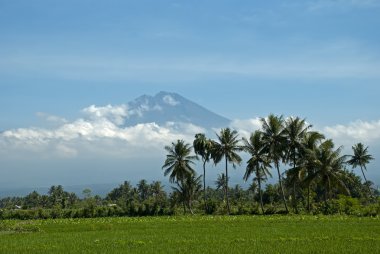 Endonezya 'daki volkan