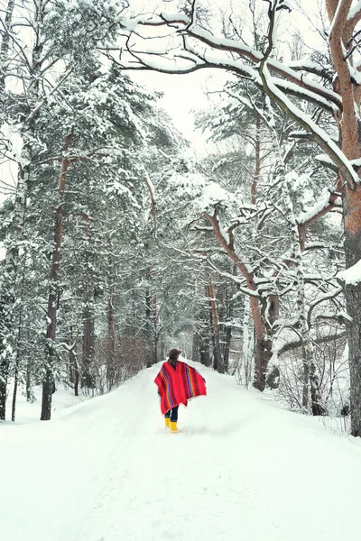 カラフルなウールの民族ポンチョを着た女性の後ろからの眺めと雪の冬の森の中を歩く帽子 ボホスタイルのファッション 寒い季節に自然を楽しむ — ストック写真