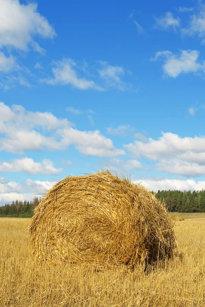 Haystack in a field — Stock Photo, Image