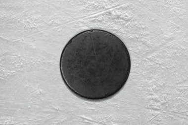 Hokey Puck