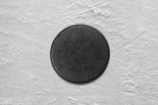 Hokey Puck