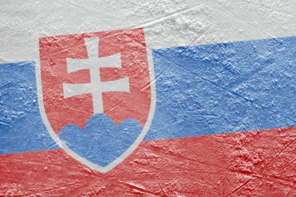 Słowacki flaga na lodzie — Zdjęcie stockowe