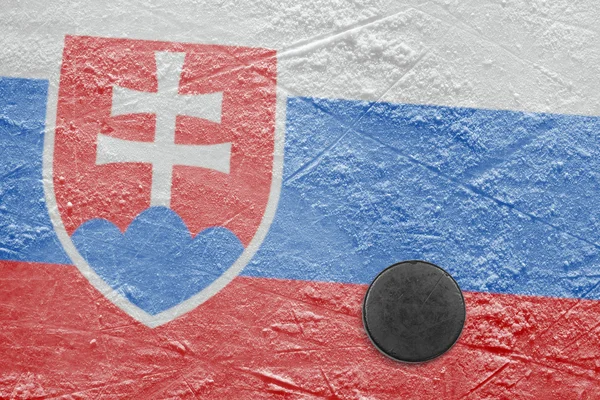 Slovak bayrak ve pakı buz üstünde