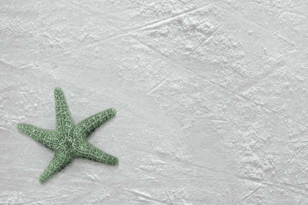 Морские звезды и лёд — стоковое фото