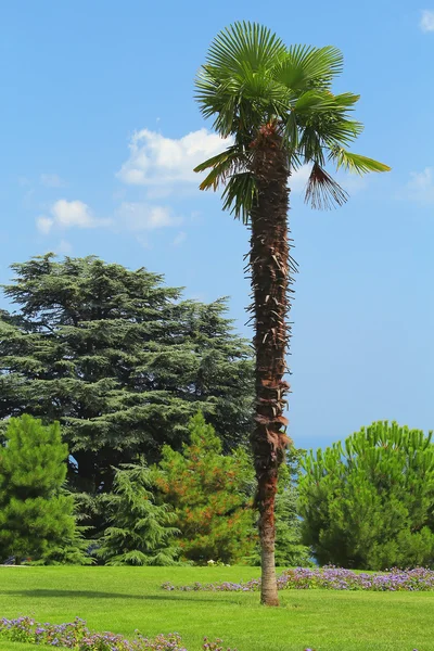 Parco Botanico — Foto Stock