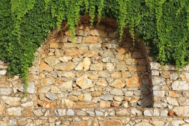 Tuğla duvar ve tırmanma bitki