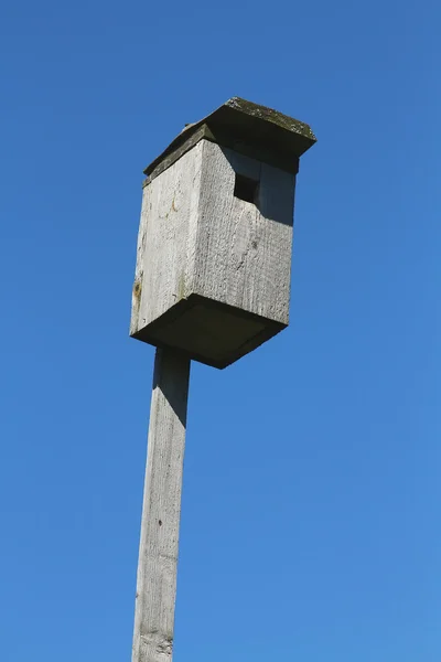 Caixa de nidificação — Fotografia de Stock