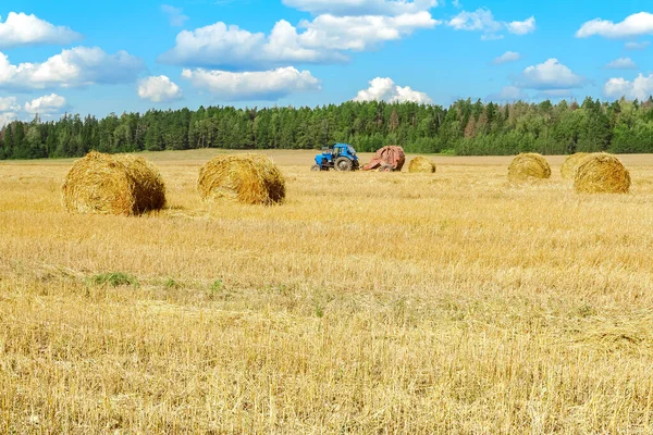 Трактор Сельскохозяйственных Работ Поле Сельское Хозяйство — стоковое фото