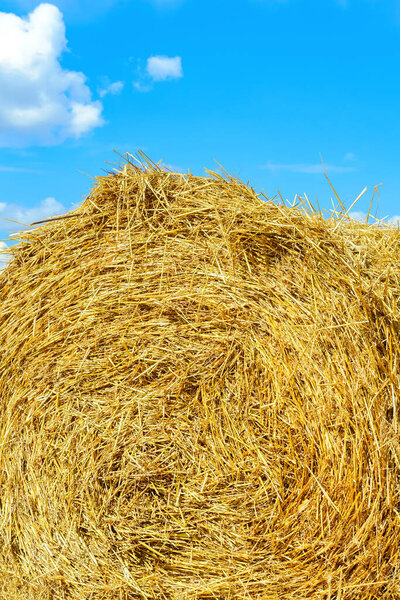 Collected hay against the sky. Agriculture, texture, background
