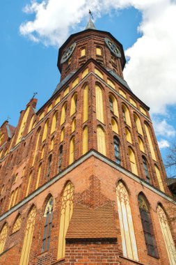 Kaliningrad 'daki Eski Kubbe Katedrali.