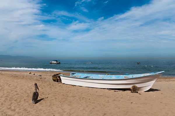 Row boat and pelican on the beach — Stockfoto