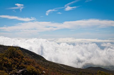 bulutların altında dağın tepesinde