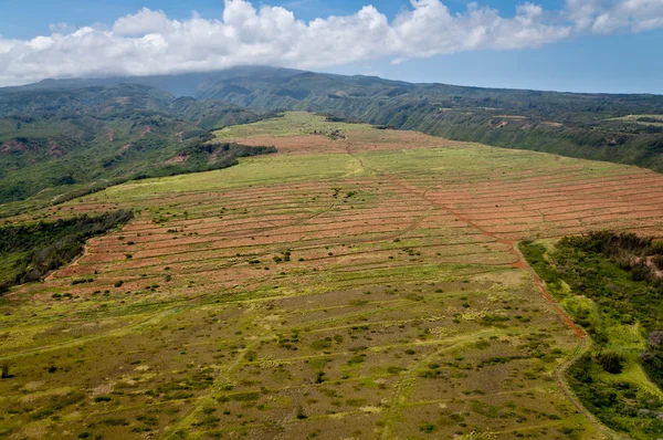 Nortehrn Maui — Stockfoto