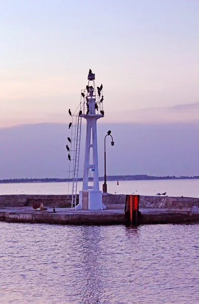 Kleiner Leuchtturm mit Möwen am Abend, Odessa, Ukraine — Stockfoto
