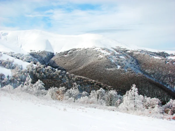 Мальовничий пейзаж в горах і снігу — стокове фото