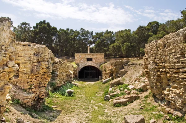 Rovine dell'anfiteatro romano a Cartagine, Tunisia — Foto Stock