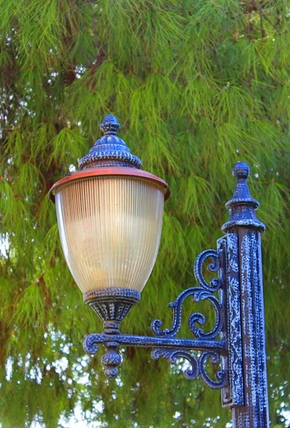 Lâmpada de rua na frente do abeto verde — Fotografia de Stock