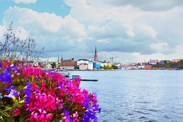 Blumen und die Altstadt (Gamla stan) in Stockholm, Schweden — Stockfoto