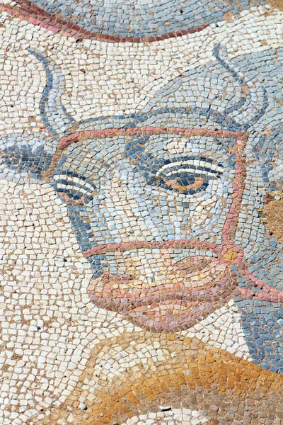 Mosaics at The Great Baths at Dion Archeological Site in Greece — Stock Photo, Image