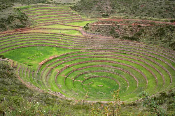 Pisac Urubamba Vadisi (Peru Cuzco teraslarında)