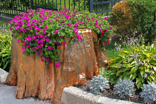 kütük güzel çiçeklerin