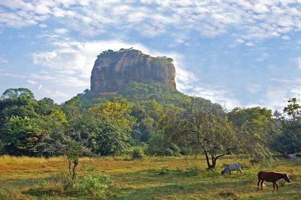 Montagna a forma di elefante nel Parco Nazionale dello Yala (Sri Lanka ) — Foto Stock