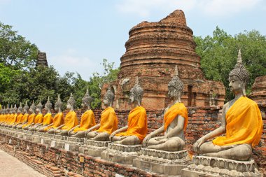 ayutthaya, Tayland ın turuncu bant içeren hizalanmış Buda heykelleri