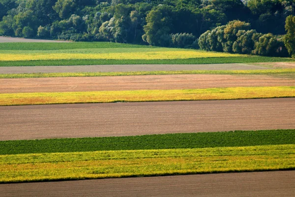 Campos Coloridos Otoño Cerca Bratislava Eslovaquia Fotos De Stock