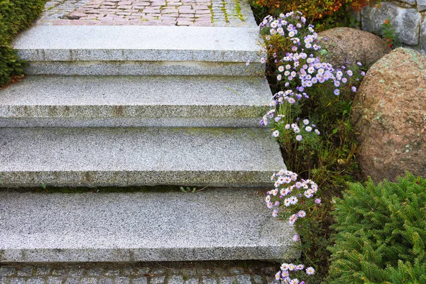 Concrete Steps Aster Flowers Park — Stockfoto