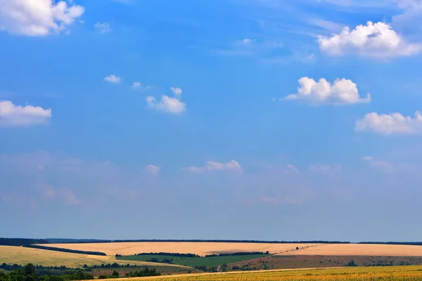 Yazın Ukrayna Tarım Alanlarının Güzel Manzarası — Stok fotoğraf