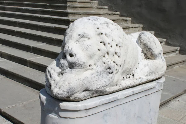 Löwenmarmorskulptur Nemyriv Nemirov Der Nähe Des Scherbatova Palastes Oblast Winniza — Stockfoto