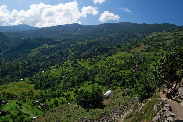 アナプルナ アナプルナ回路 ヒマラヤ ネパールのトレッキング中のタトパーニ地域の谷の景色 — ストック写真