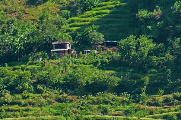Маленький Домик Зеленом Склоне Холма Татопани Время Похода Вокруг Аннапурны — стоковое фото