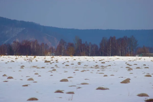 Bergwiesen Den Karpaten Region Iwano Frankiwsk Winter Ukraine — Stockfoto