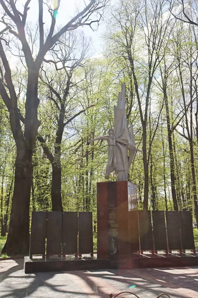 Vinnytsia Oekraïne Mei 2022 Monument Voor Gesneuvelde Soldaten Afghaanse Oorlog — Stockfoto