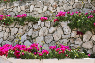 Beautiful background, marble staircase with flowers in Bahai garden in Haifa, Israel