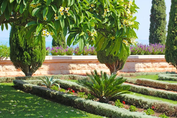 Jardins Bahai Acre Akko Haïfa Israël — Photo