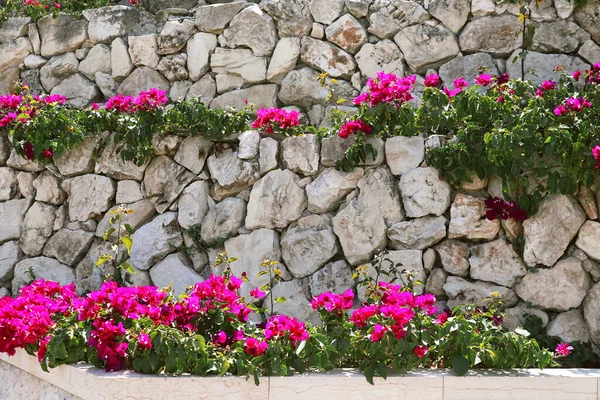 Beautiful Background Marble Staircase Flowers Bahai Garden Haifa Israel — Zdjęcie stockowe