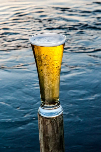 Cold beer in nature — Stock Photo, Image